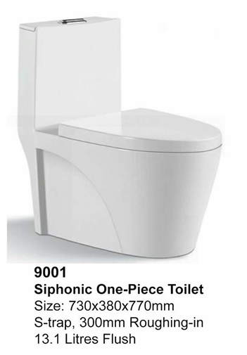 9001 S-Trap toilet